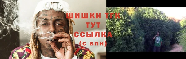 ГАЛЛЮЦИНОГЕННЫЕ ГРИБЫ Тавда