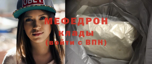 дмт Тайга
