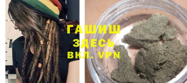 дмт Тайга