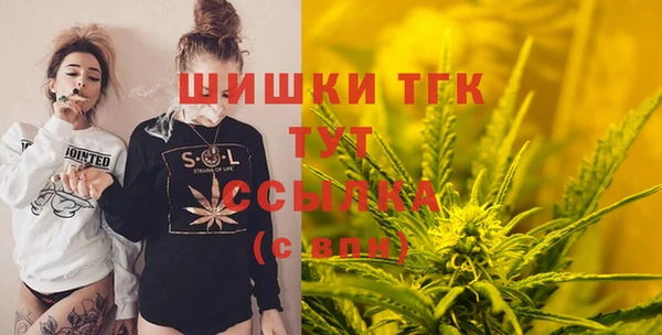 дмт Тайга