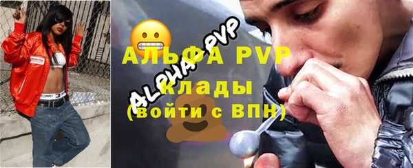 ГАЛЛЮЦИНОГЕННЫЕ ГРИБЫ Тавда
