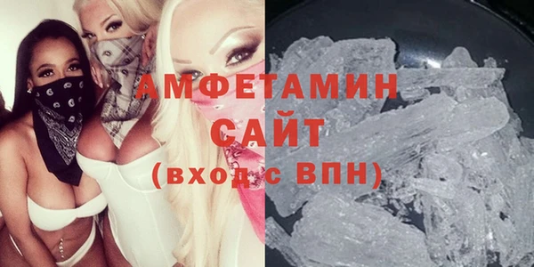 дмт Тайга