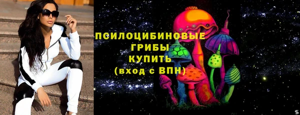 дмт Тайга