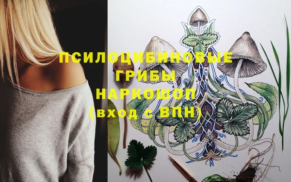 дмт Тайга