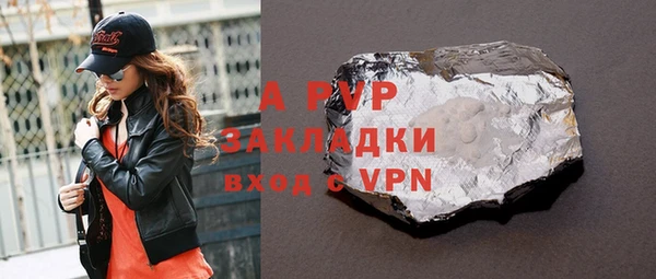 дмт Тайга