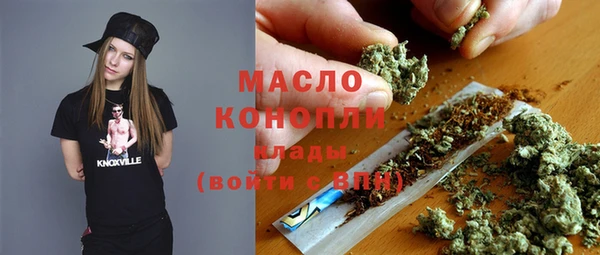 дмт Тайга