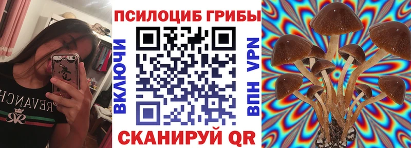 Купить  Глазов  Галлюциногенные грибы Magic Shrooms 